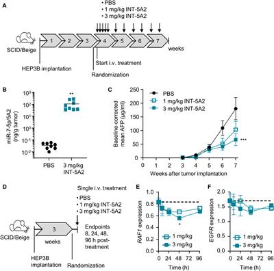 The tumor suppressor 5A2, a synthetic miR-7-5p mimic, targets oncogenic and metabolic pathways, as revealed by transcriptome-wide analysis